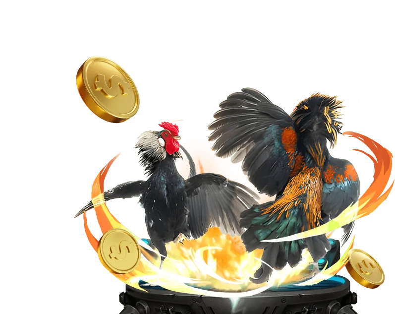 Hướng dẫn tham gia Câu Lạc Bộ VIP go666 code